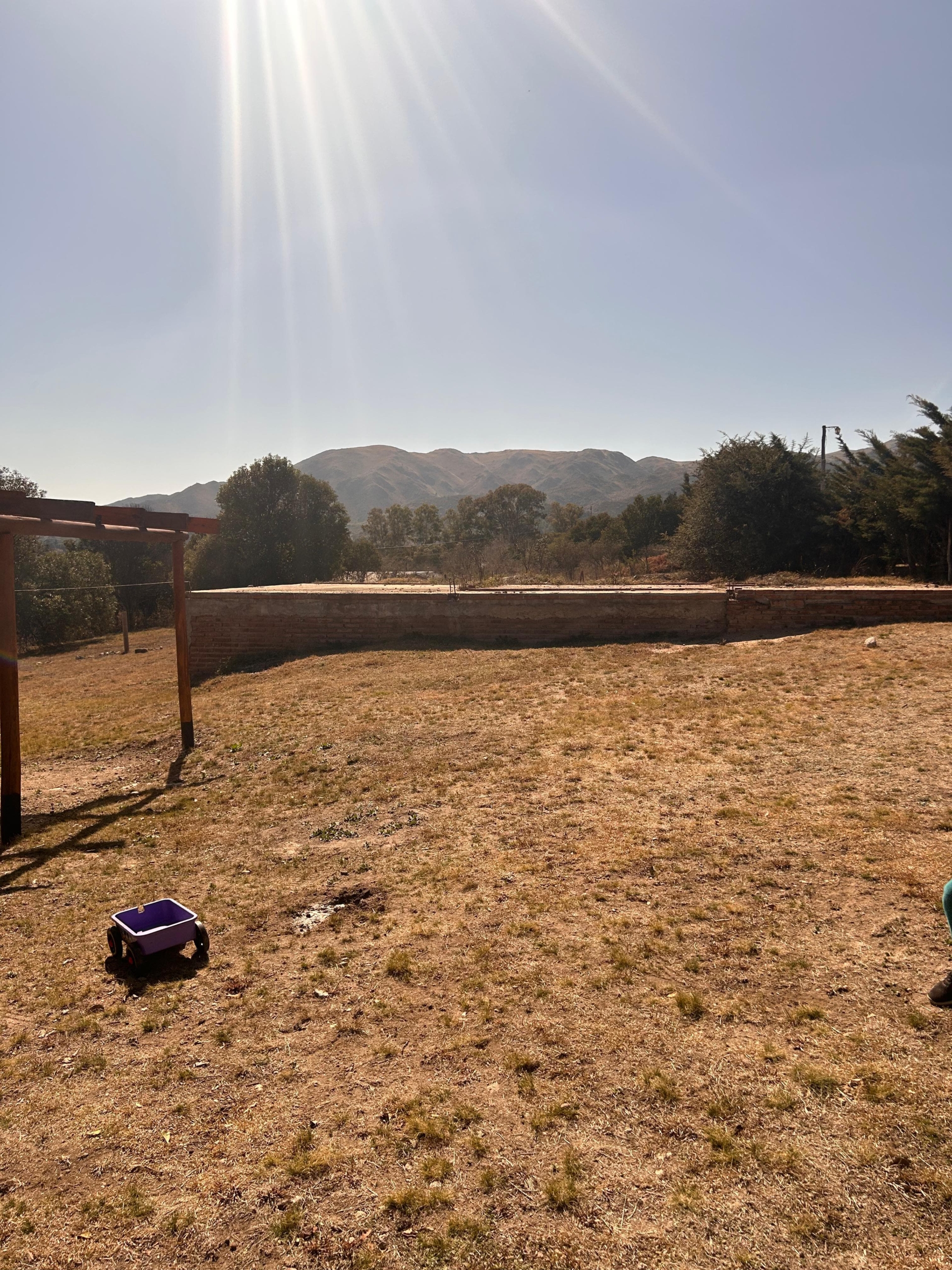 WhatsApp Image 2025-05-23 at 6.32.31 PM