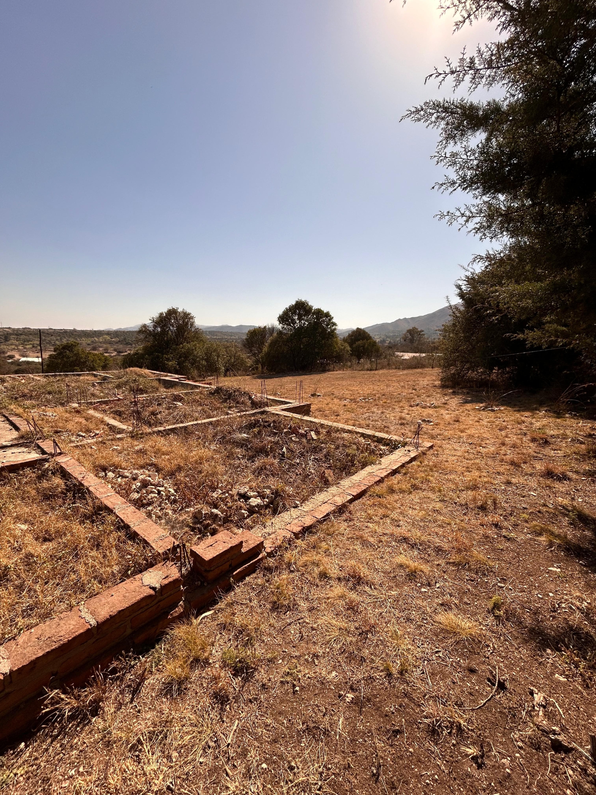 WhatsApp Image 2025-05-23 at 6.32.32 PM